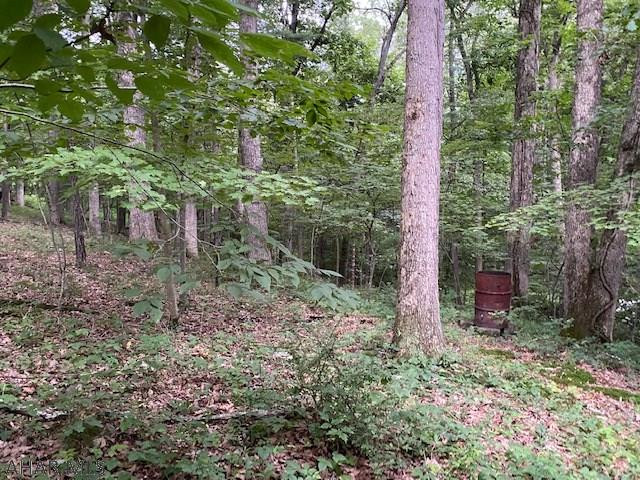 Cliffside Acres - Residential