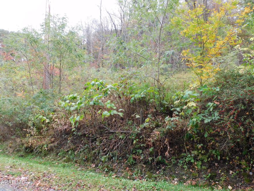 Approximately 4 Acres in Cambria County.  Lot is wooded and would be great for recreational use. Cambria Heights School District.  Only minutes to Carrolltown.