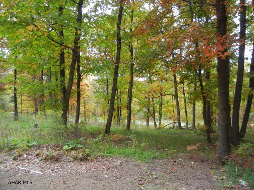 Beautiful building lot in Morrison's Cove. Deafy Hill Road. 5.525 acres. Nice setting. Has septic. Electric line on property. There are deed restrictions.