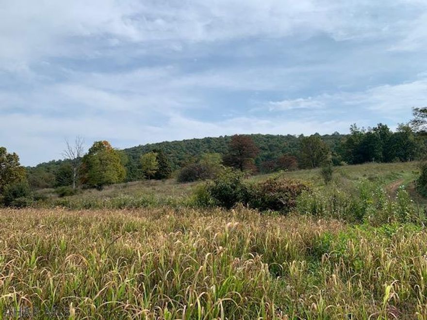 Beautiful building lot perc approved for a home or cabin, level to rolling and mostly cleared cropland enrolled in the Clean and Green Program.  Additional acreage can be purchased. Lot 2 24.85 ac $114,000. building lot, perk approved for a single family on-lot septic system and surveyed. Lot 3 is 14.2 at $91,000 building lot, perk approved for a single family on-lot septic system and surveyed. Lot 4 is 76.46 & 91.15 acres of wooded unimproved property, surveyed combined total acreage is 167.61 acres for $340,000. Each of these LOTS can be purchased separately taxes are approx..The existing driveway, which runs through Lot 1 to the proposed building lots 2 & 3, will be designated as a ROW associated with Highway Occupancy Permit #09018733. Deeds for all parcels will have a designated ROW.