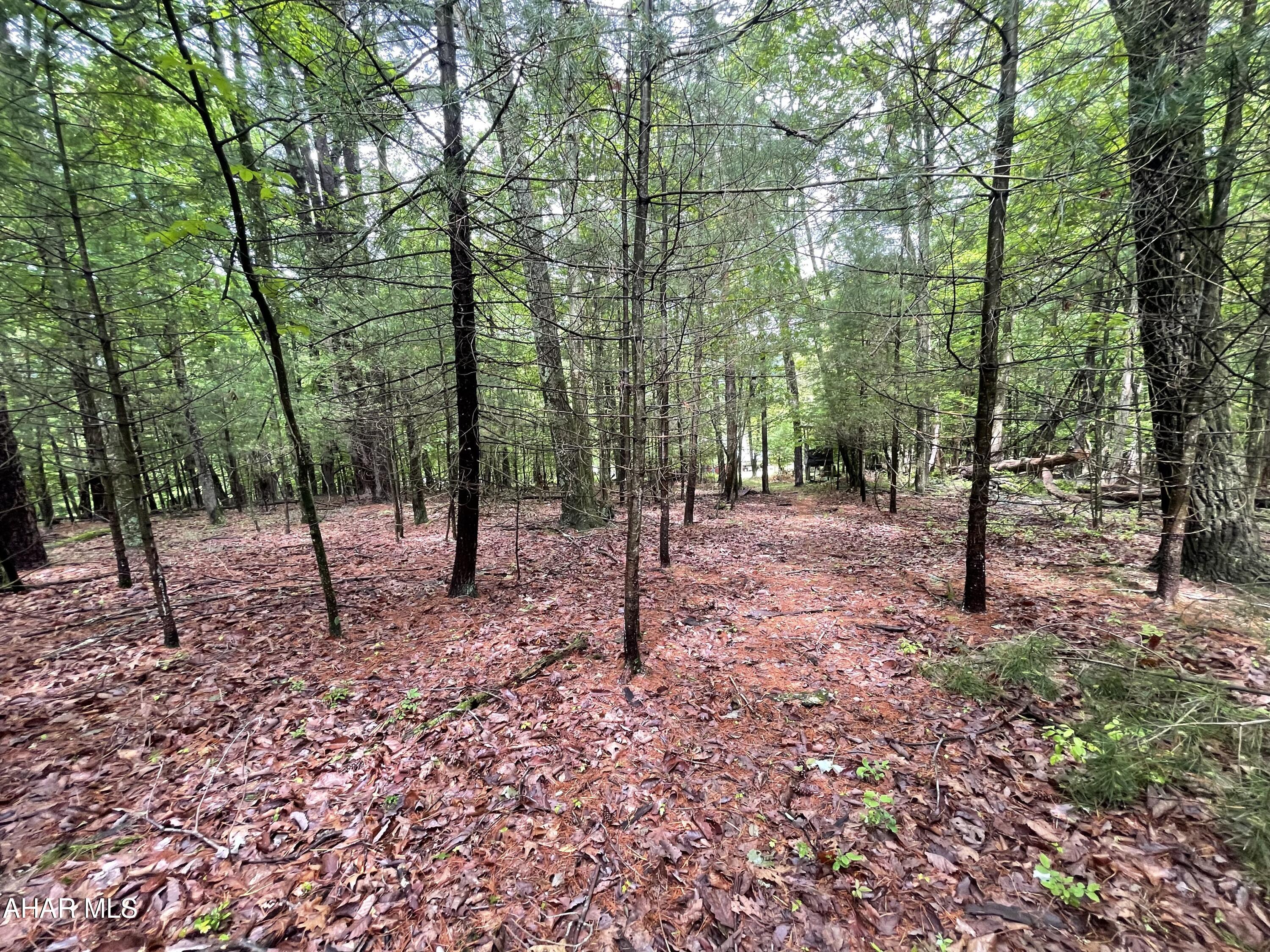 Other - Commercial Sale