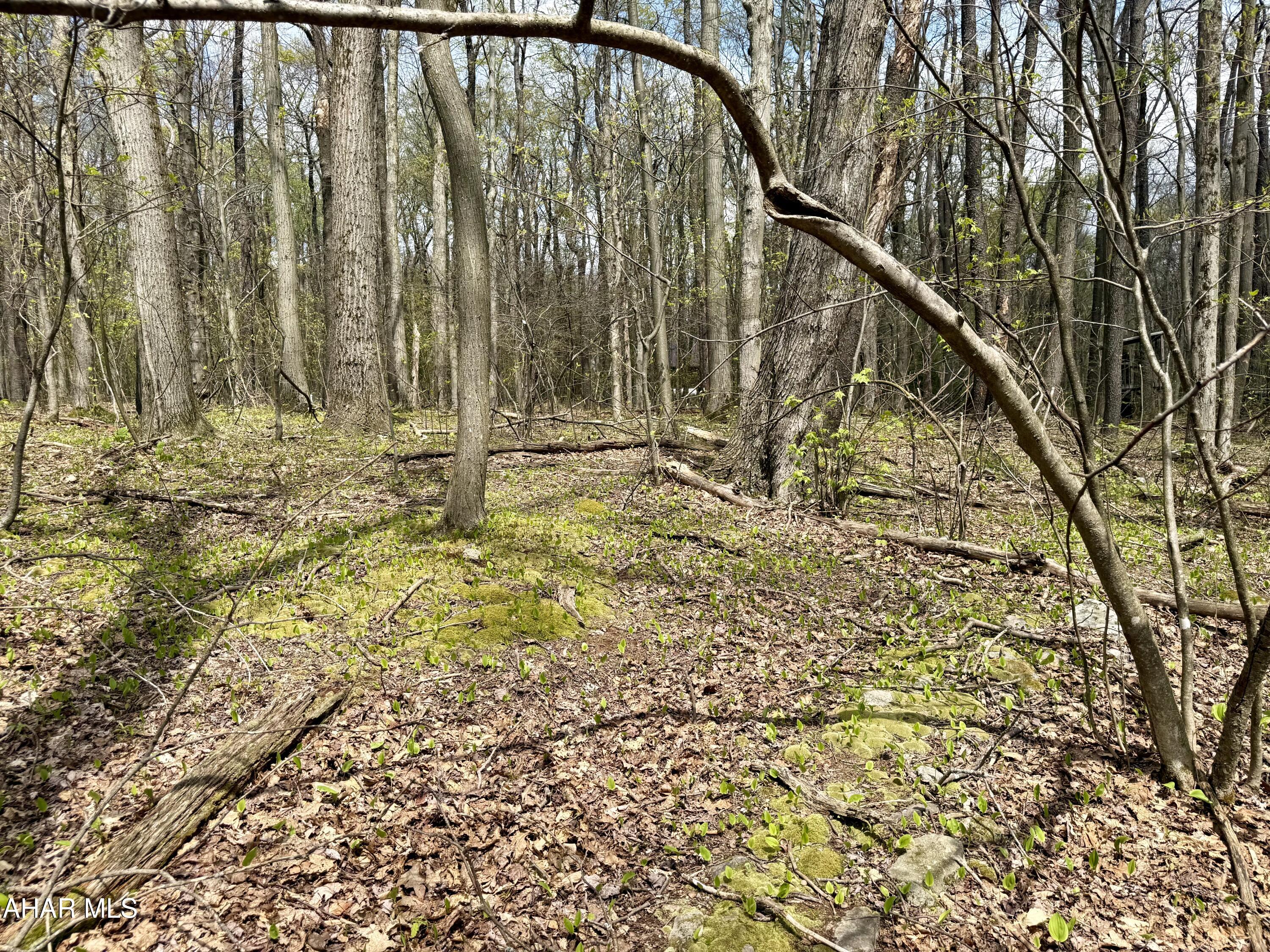Blue Knob - Commercial Sale