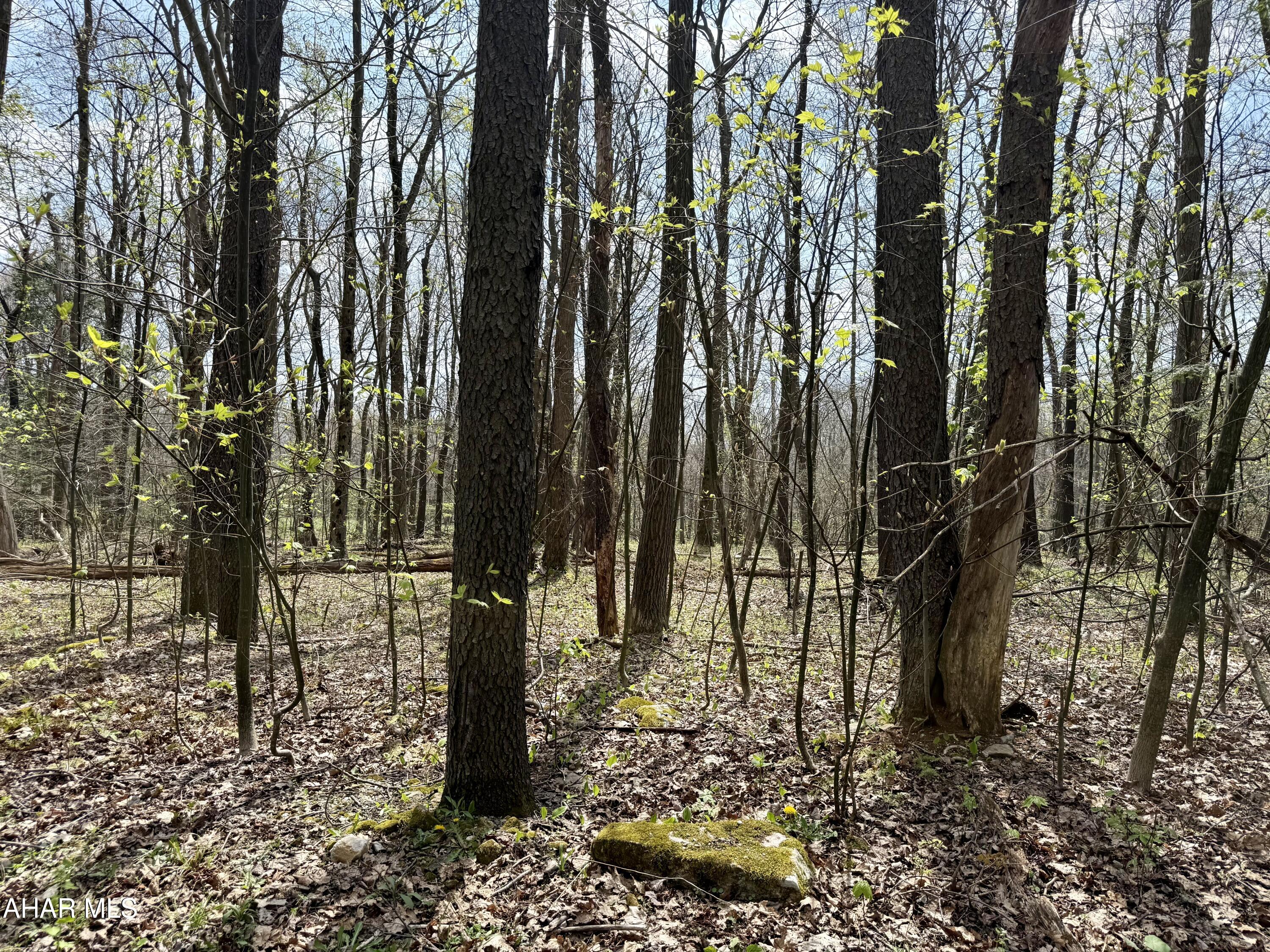 Blue Knob - Commercial Sale