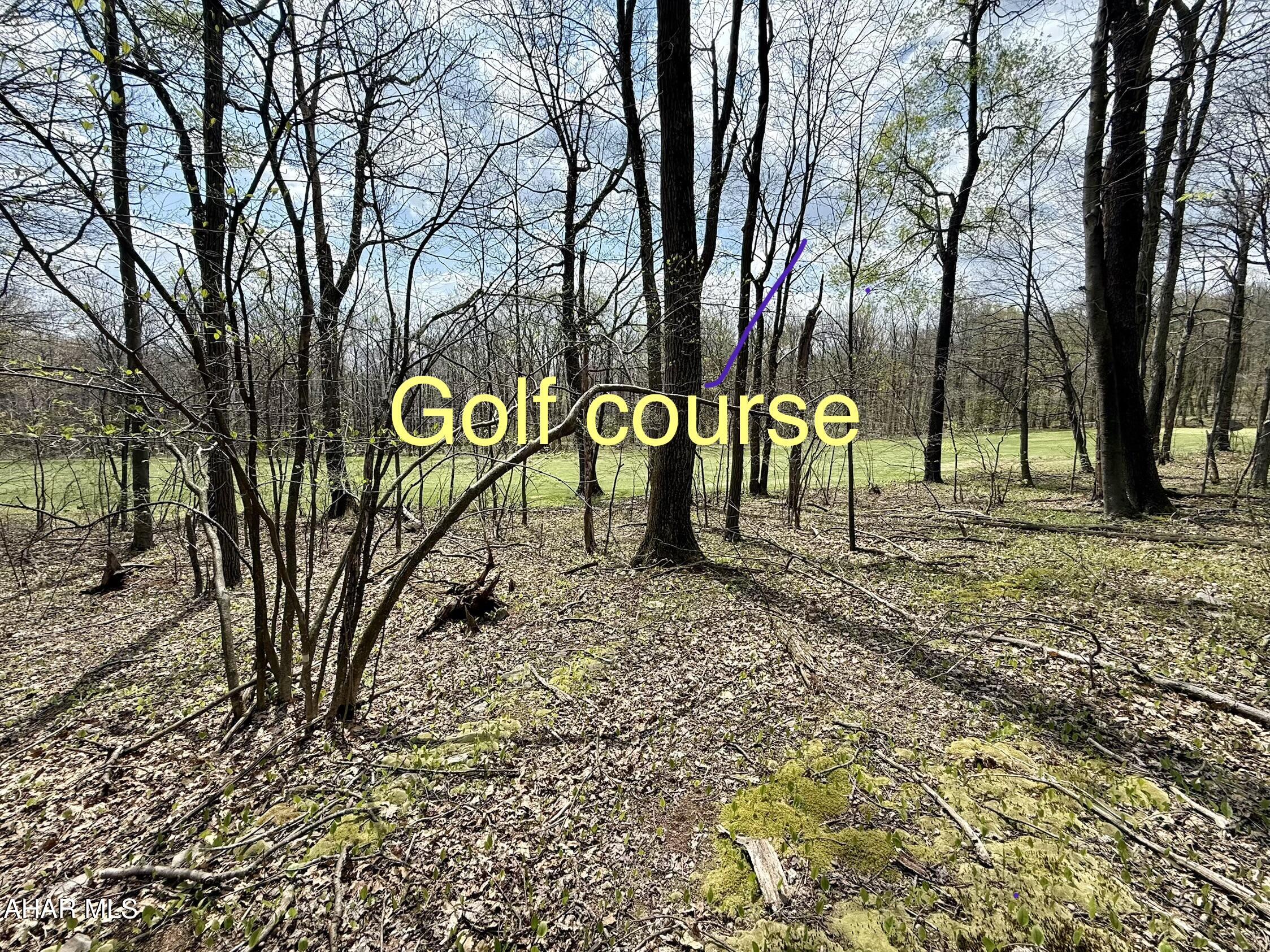 Blue Knob - Commercial Sale