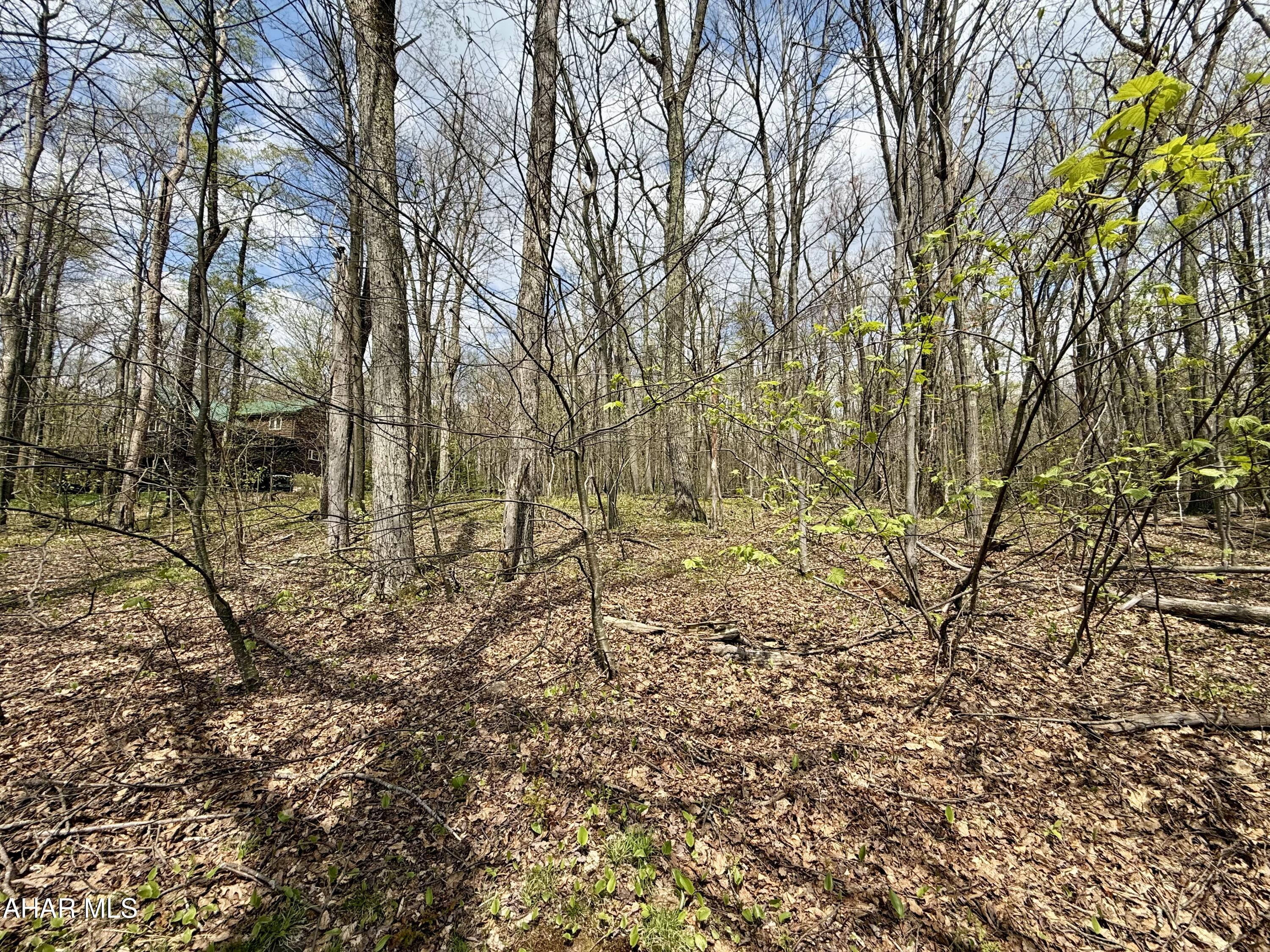 Blue Knob - Commercial Sale
