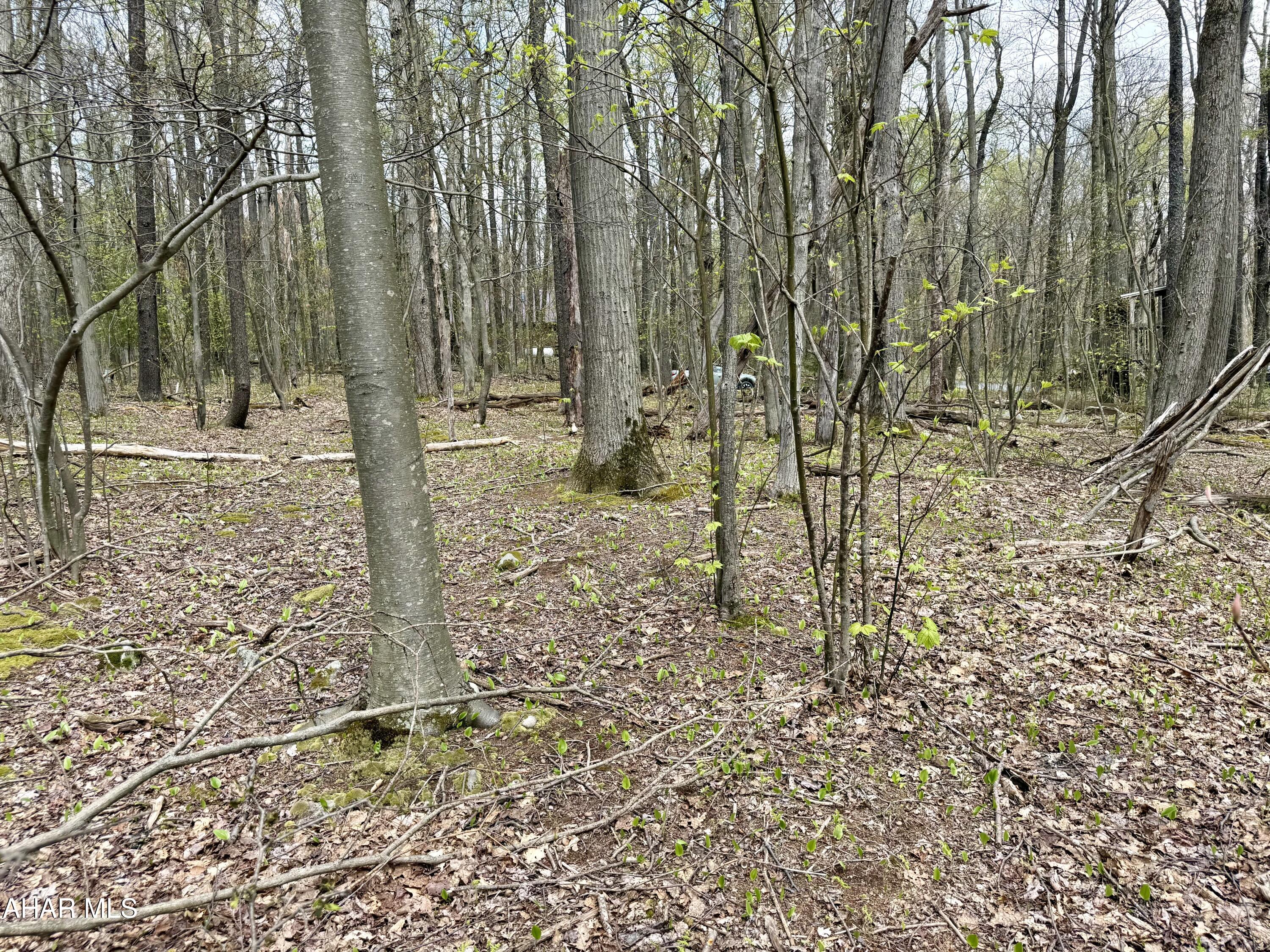 Blue Knob - Commercial Sale
