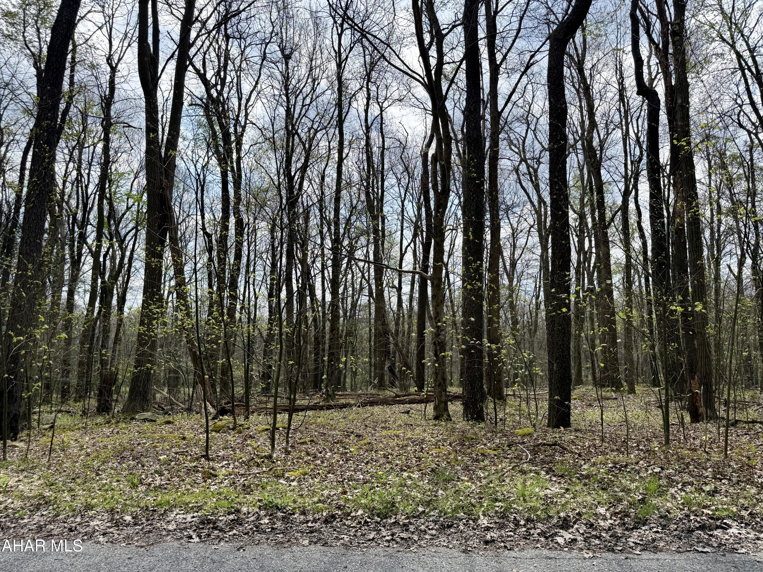 Blue Knob - Commercial Sale
