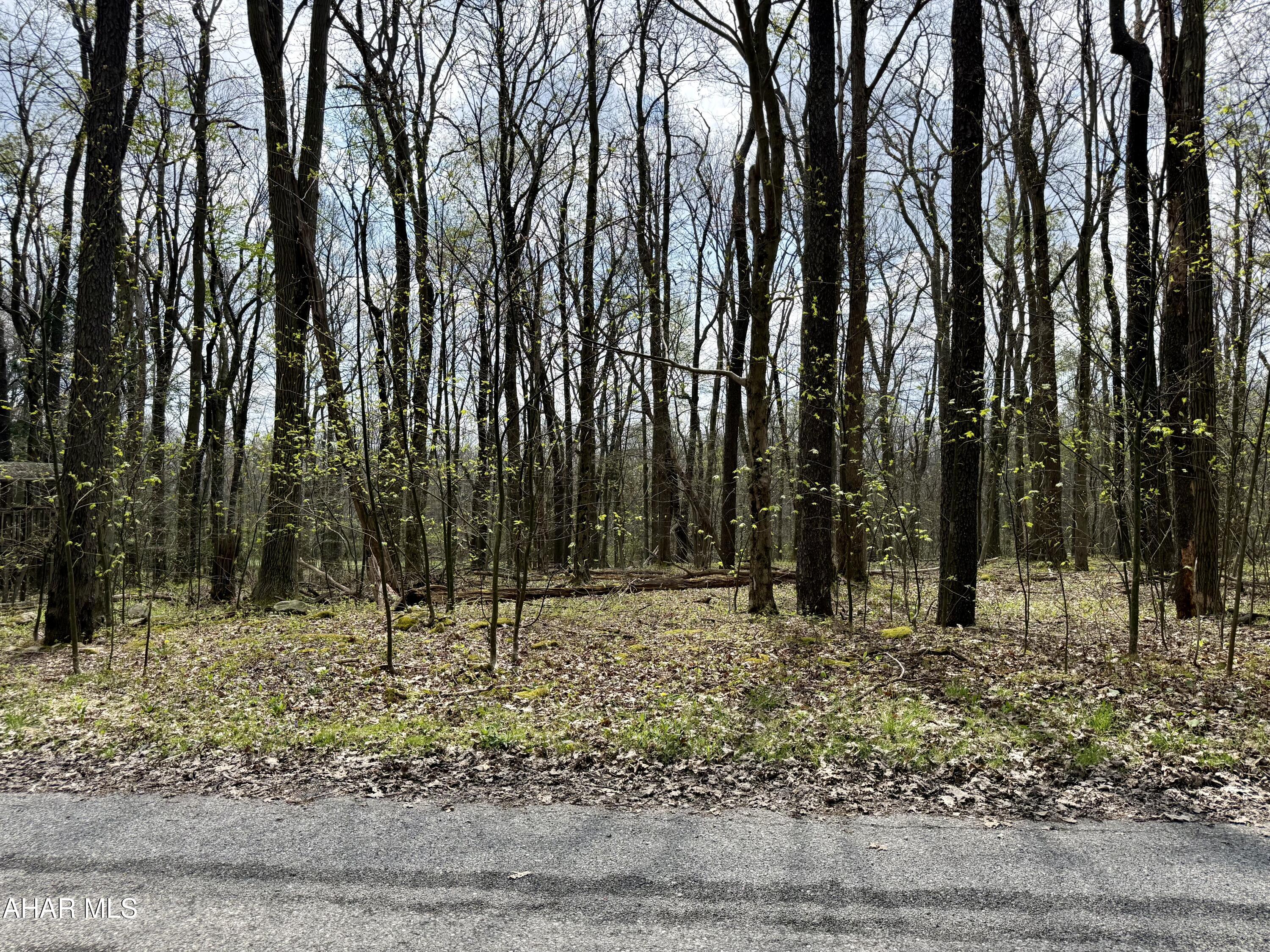 Blue Knob - Commercial Sale