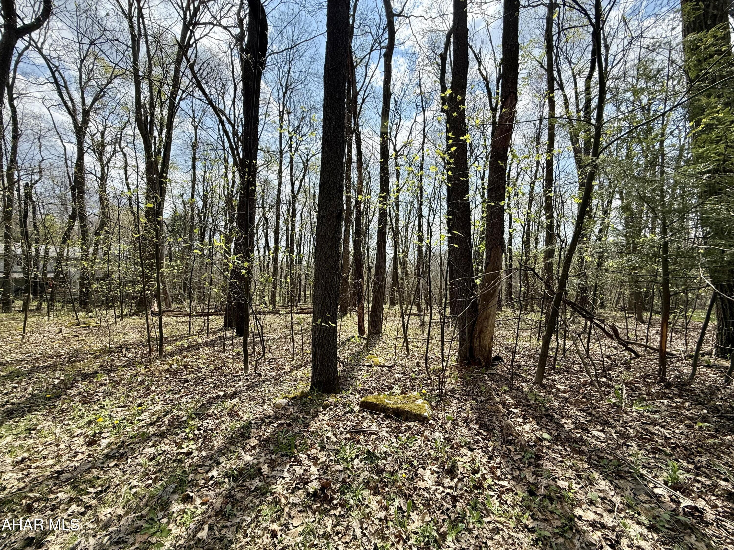 Blue Knob - Commercial Sale