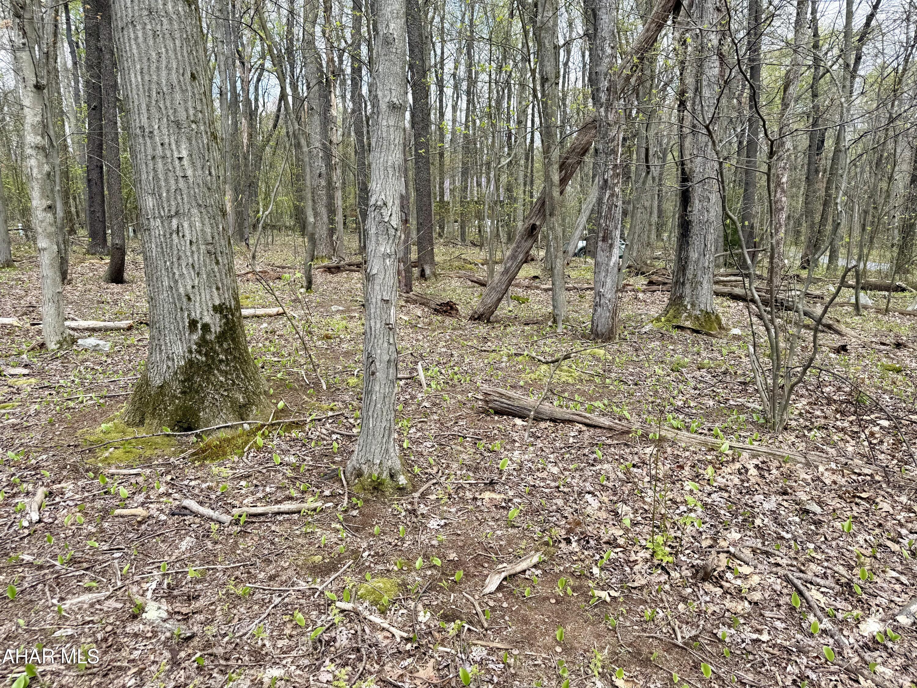 Blue Knob - Commercial Sale