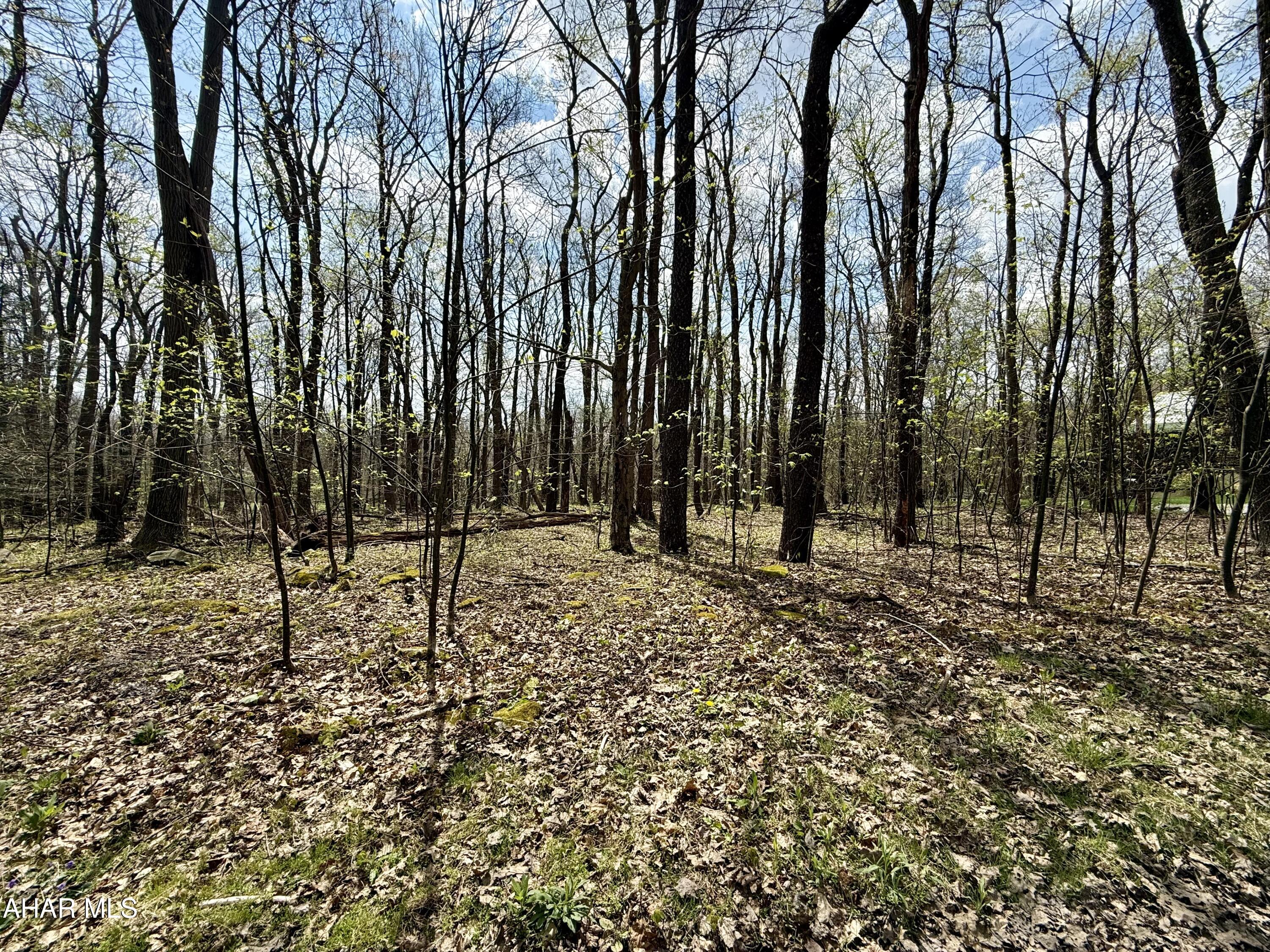 Blue Knob - Commercial Sale