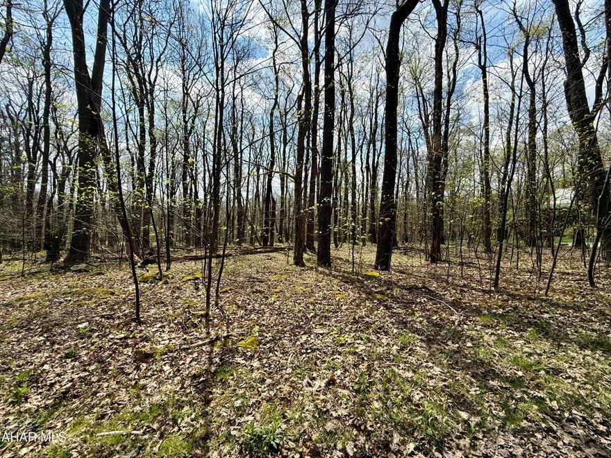 Prime building lot in the beautiful Allegheny Mountains. Perfect for a getaway or your full-time residence. 
  Golf course boarders the back of the lot. 
Water, Sewer and Electric already available on the property. HOA Lot Owners - $125.00 a year Homeowners - $425.00 a year SKA Membership Dues include: Road maintenance Snow plowing of the roads Access to: Dumpsters for trash Outdoor pool Tennis court Biking and hiking trails Clubhouse Bar and Grille (open ski and golf season) Indoor pool, sauna and hot tubs for a reasonable fee. Golf Course for fees posted on blueknob.com Snowshoeing Downhill and Cross-Country Skiing for fees posted on www.blueknob.com Fun, excitement, beauty, activities, wildlife, relaxation - PRICELESS!