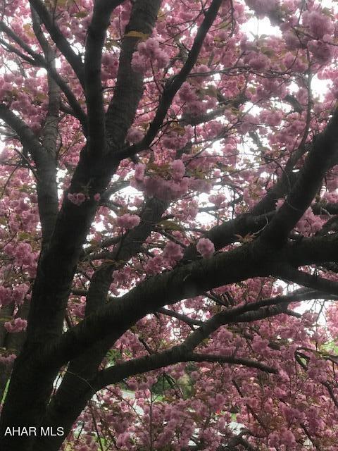 Rolling Hills - Residential