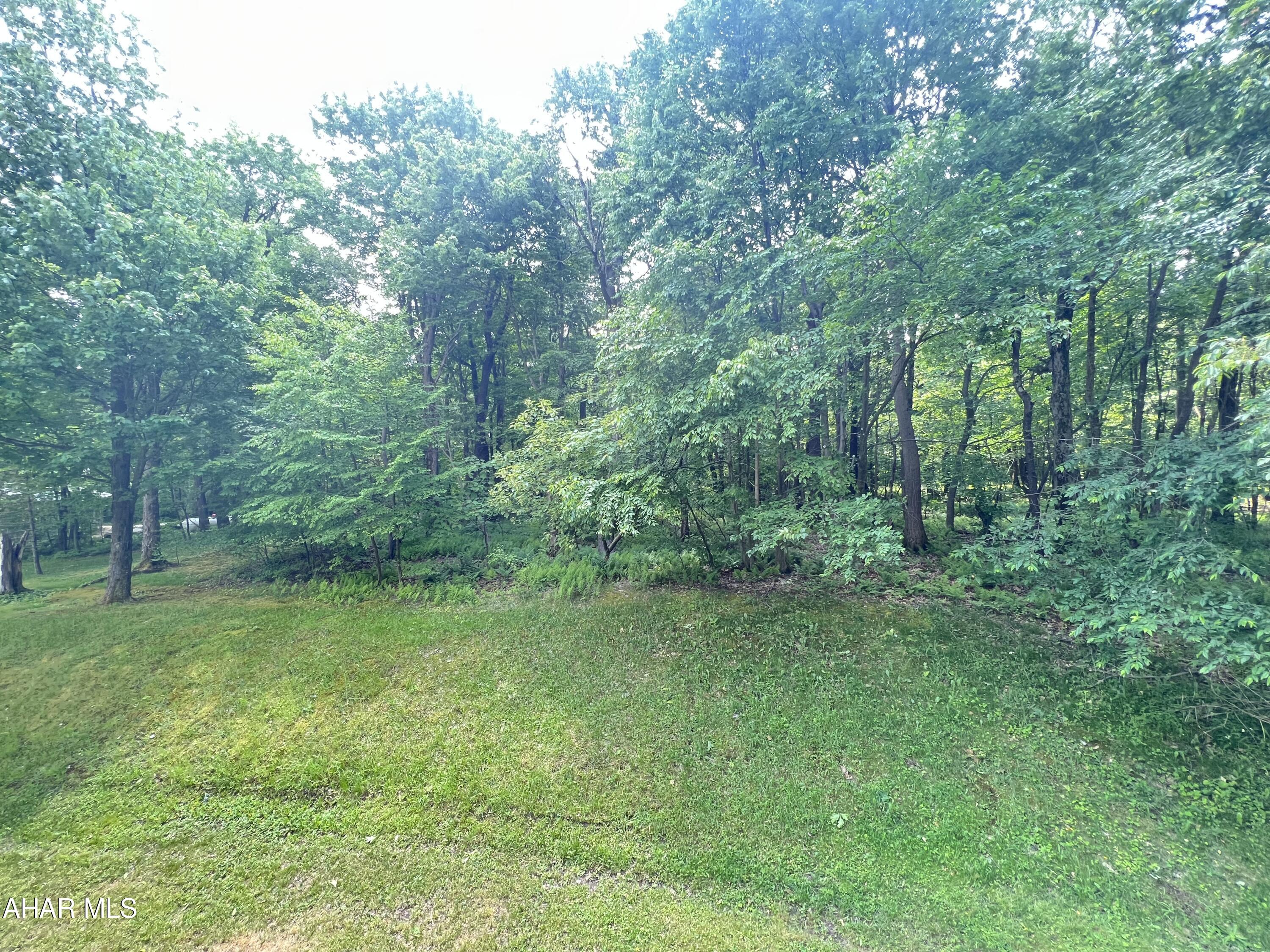 Blue Knob - Residential