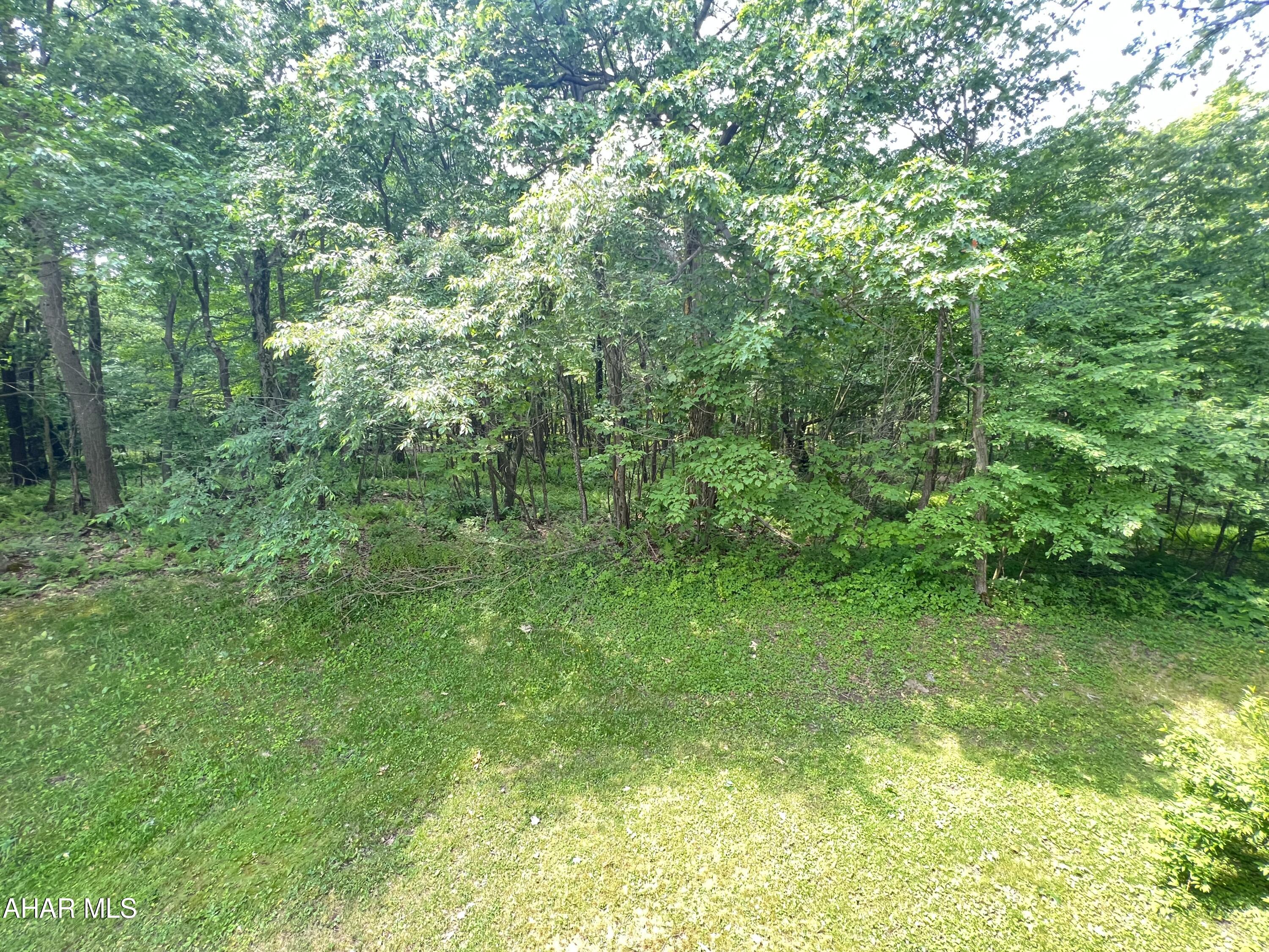 Blue Knob - Residential