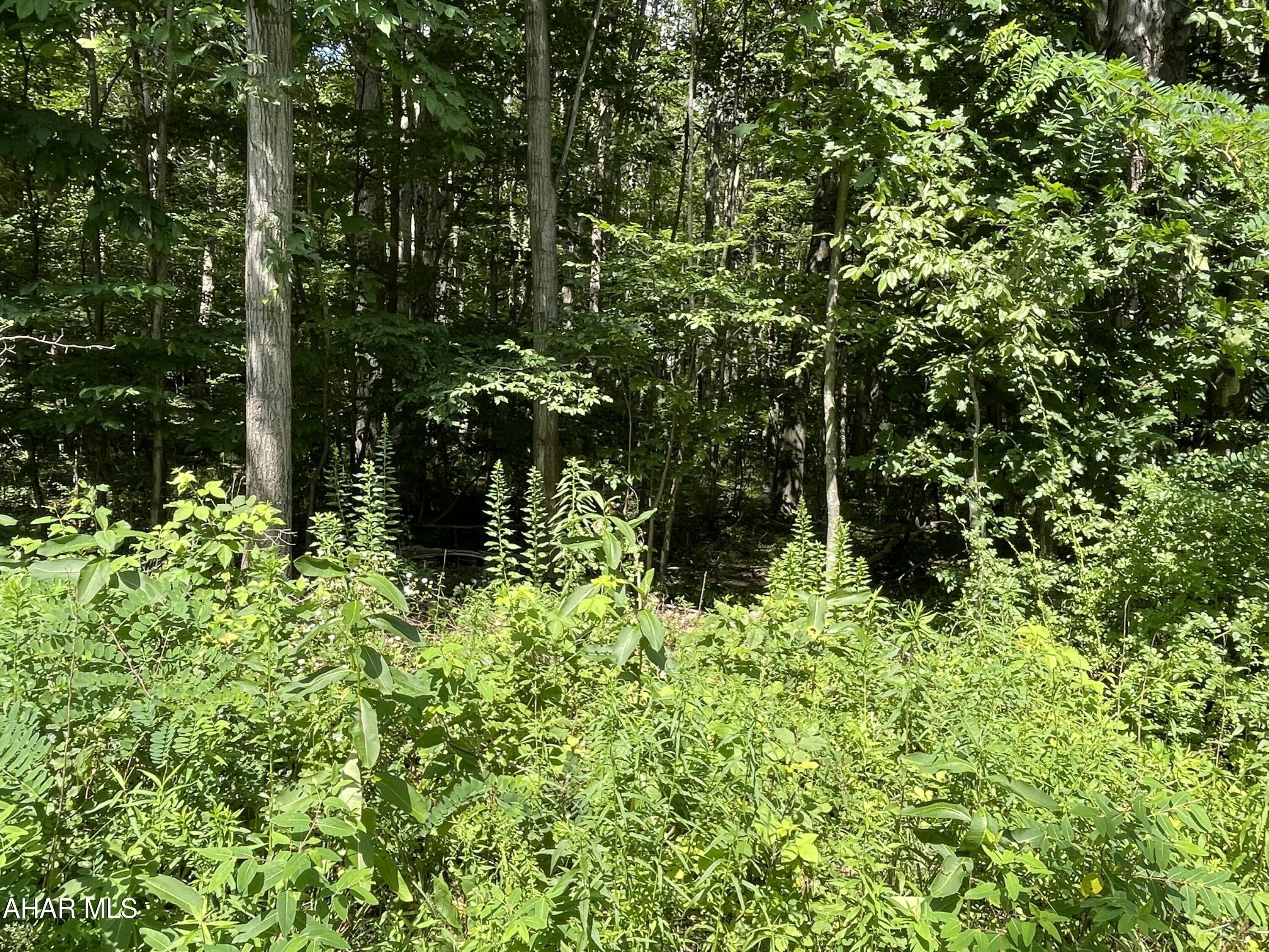 None - Commercial Sale