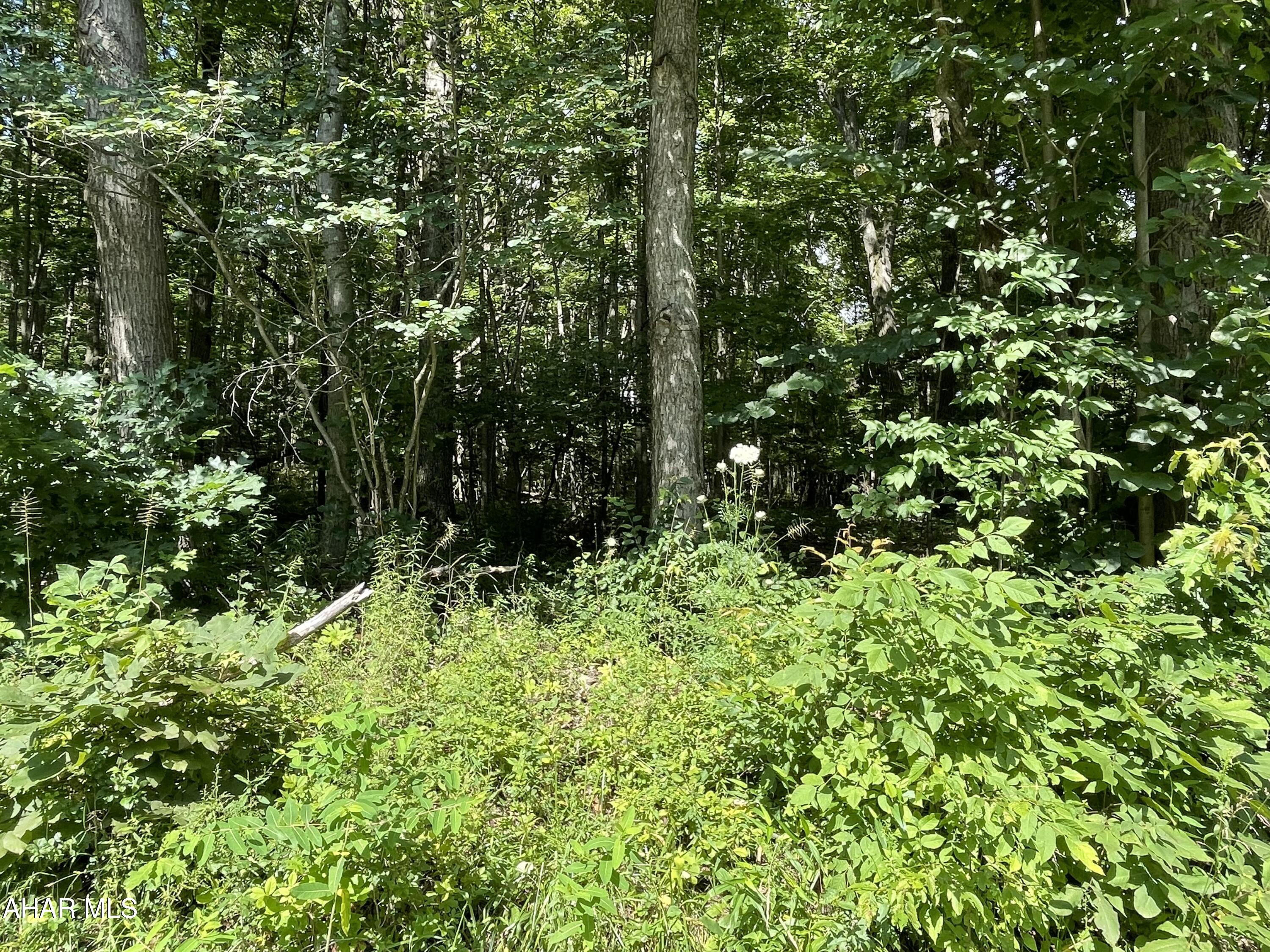 None - Commercial Sale