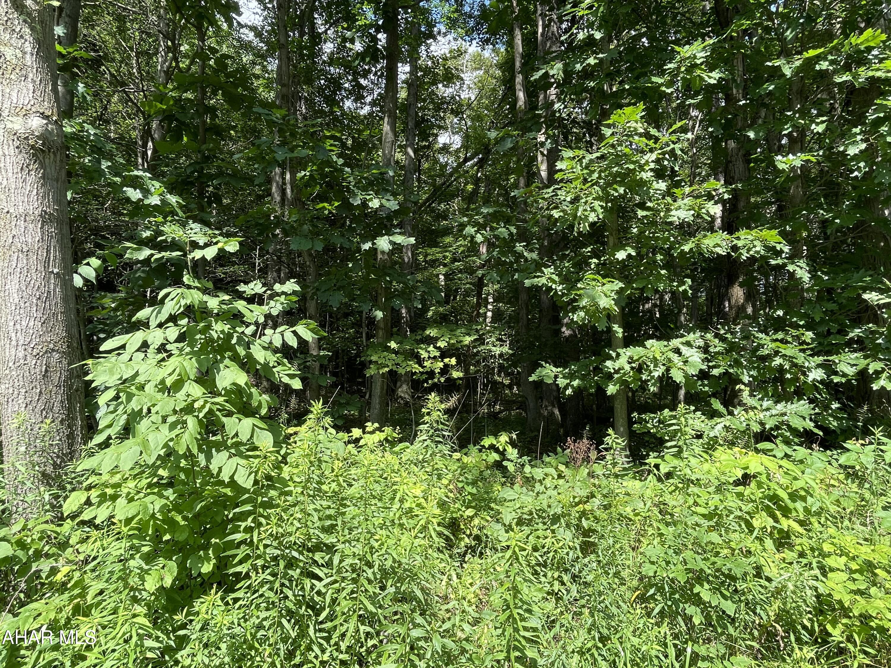 None - Commercial Sale