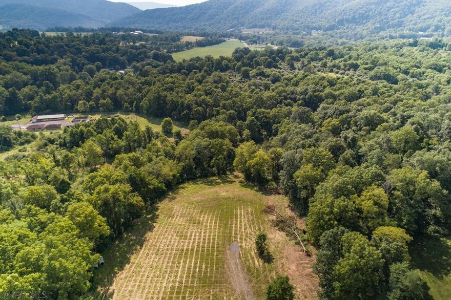 Building lot within walking distance of Homewood.  All with public sewer accessibility nestled in the woods of the Alleghany Highlands.  This prime lot has a location that is within minutes of stores, hospital, doctors, schools and parks.