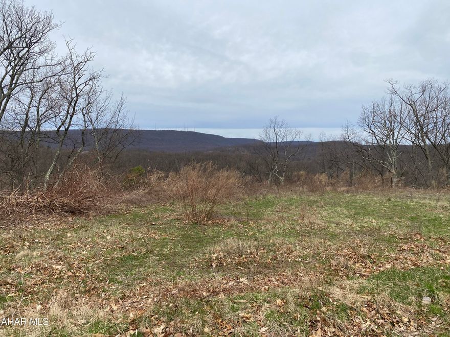 Looking to build your dream home? Look no further! This partially wooded lot with great views is ready for you to build on. Situated on over half of an acre, this lot is close to the Penn State Altoona campus, wooded areas and many other amenities.  You won't want to miss out on calling this home!