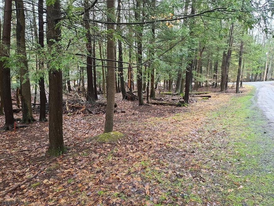 2 lots for sale inside Glendale Yearound. These lots are wooded with a small stream running thru part of the property. Perfect for a small cabin or getaway to be built on. Glendale Yearound is a gated community located minutes from Glendale Lake and Prince Gallitzin State Park. Community pool, tennis, basketball, security and more.