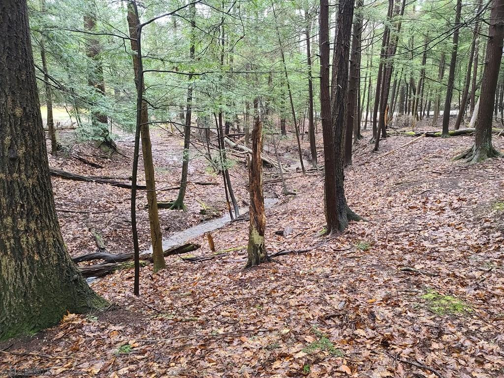 Glendale Yearound - Land