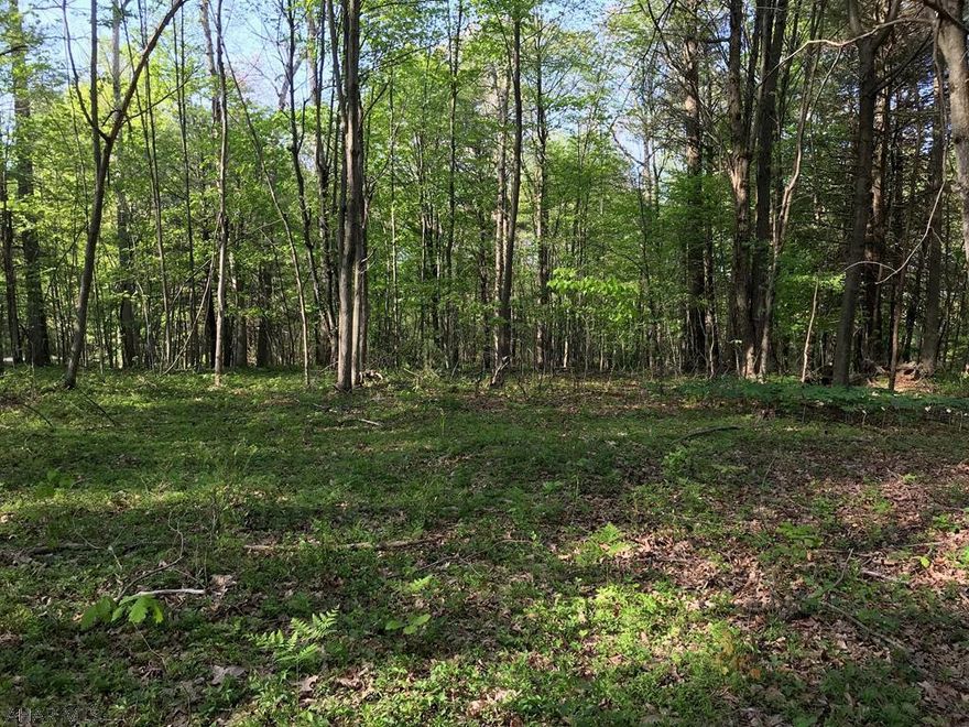 Do you like to hunt?  Walk out your front door to acres and acres of state game lands--A hunter's dream.  Do you enjoy the amenities of  Raystown Lake?  You would be a short 8 miles from year round lake fun.  Build your dream home, whether a permanent residence or a vacation getaway and enjoy stress free living taking in all nature has to offer in this private subdivision.  Enjoy the peacefulness and serenity of this level wooded lot.  A small stream runs through the back of the property adding to its pleasing aesthetics.  There is electric to the property as well as a perc test.  Don't miss out on this opportunity to purchase your very own piece of paradise in the heart of Raystown Country.