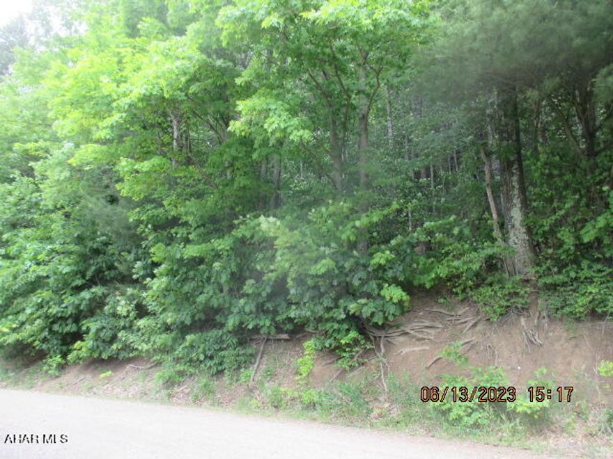 Beautiful home or cabin site on secluded road with breathtaking views.  Call for directions or take a ride to check it out.