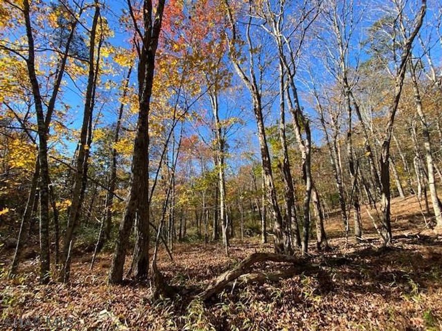 DEER, DEER, DEER, BEAR AND TURKEY!!!! This property is only for the avid hunter!! You will be totally surrounded by nature at its best! Not only will you have your own pristine mountain property to enjoy, you will be just a stone's throw from Buchanan State Forest consisting of over 79,000 acres, less than 5 miles to Sweet Root State Park, Rocky Gap State Park, Green Ridge State Forest and Wills Mountain State Forest. Here in Southern Bedford County, you will experience the laid-back lifestyle that you have been yearning for, where four wheelers are a necessity and mountain roads are a blessing.... Join us as we invite you to a country way of life.... This property is perfect for a year-round home or a fabulous hide-away in the mountains.