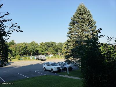 Blue Knob - Residential