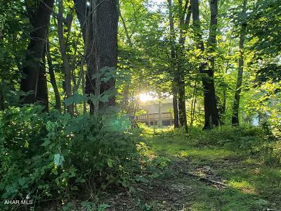 Blue Knob - Residential