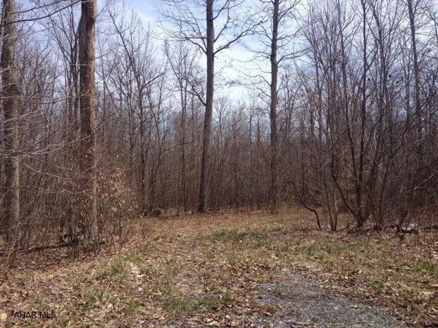 Wonderful wooded lot in Chestnut Ridge School district.  Just shy of 17 acres, easy access off of Route 56.  Perc approved, call for details