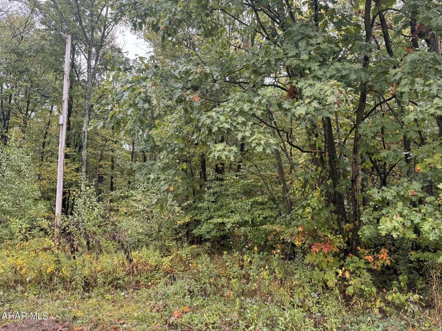 Land- Pine Twp-Lot 226- 4.3-acre wooded building lot with on-site well. Electric on the property as well as an out building.  Property was perked for a septic system years ago & SEO told the seller it should again since it was undisturbed.