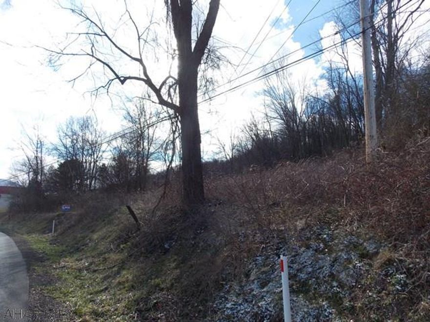 1.63 Acre lot in Frankstown Twp. with a great view. Public sewer in the street must drill a well. Penelec and Frankstown (sewer) both have right away's on the property. Please see other in docs.