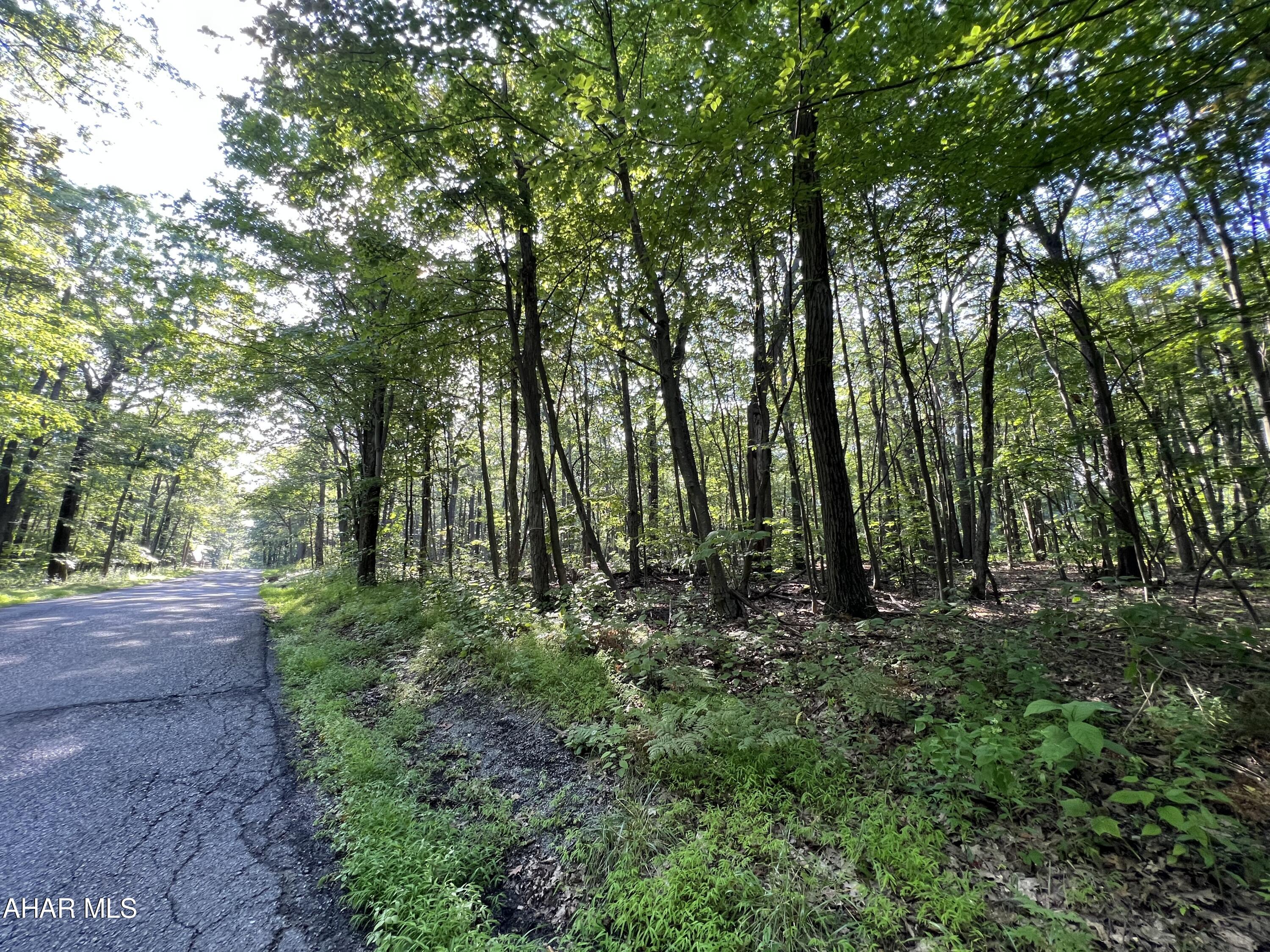 Blue Knob - Commercial Sale