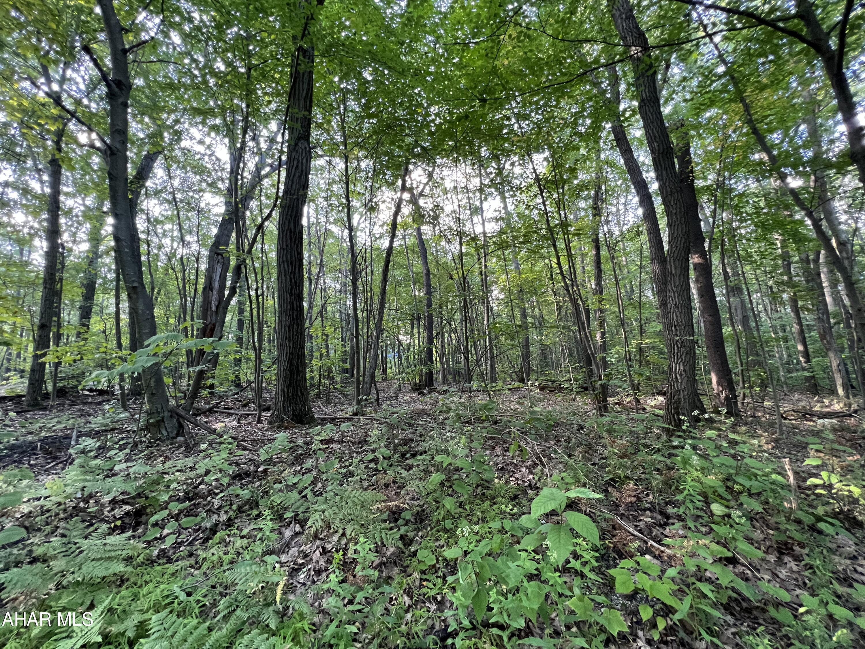 Blue Knob - Commercial Sale