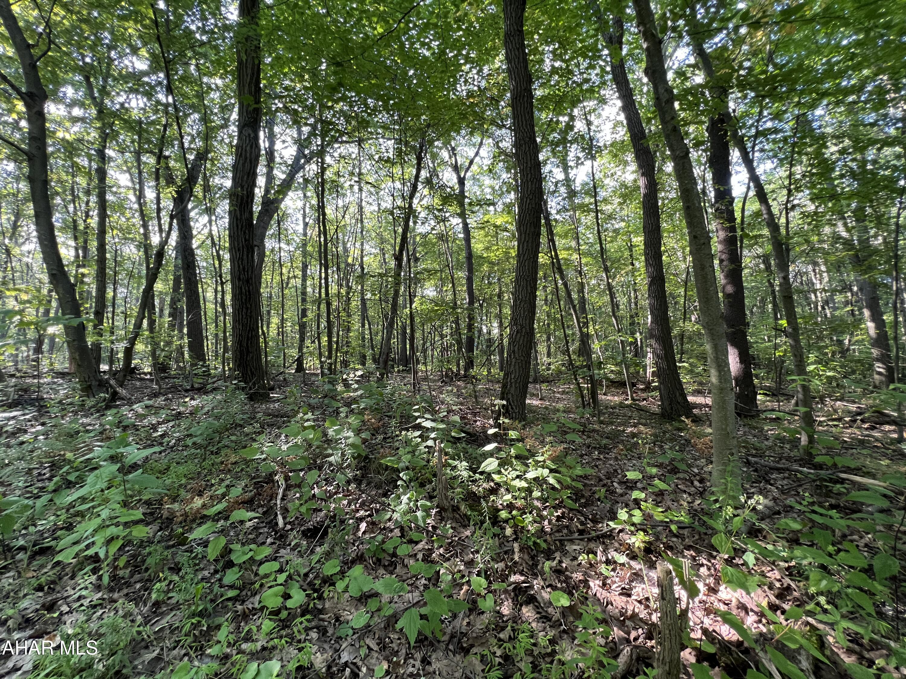 Blue Knob - Commercial Sale