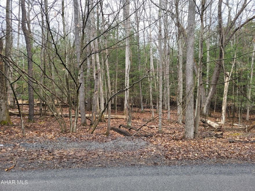 Half acre wooded building lot located in Glendale Yearound.  Public water, sewer and electricity are available.
Buyer to verify property corners.

Property Owner's Association dues are $625.00 annually, billed in three installments.