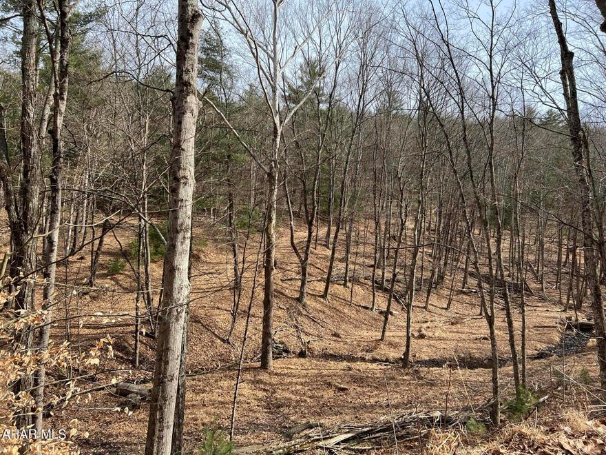 Just under 77 acres of wooded paradise awaits!   Adjacent to Buchanan State Forest.  Recently surveyed and subdivided. Hilly to flat terrain .  Great hunting possibilities.  Currently subdivided as non-building.    Give me a call today to take a closer look.  All mineral rights convey with purchase. Property line is actually several feet from where the HHBR sign is posted.  See attached survey.