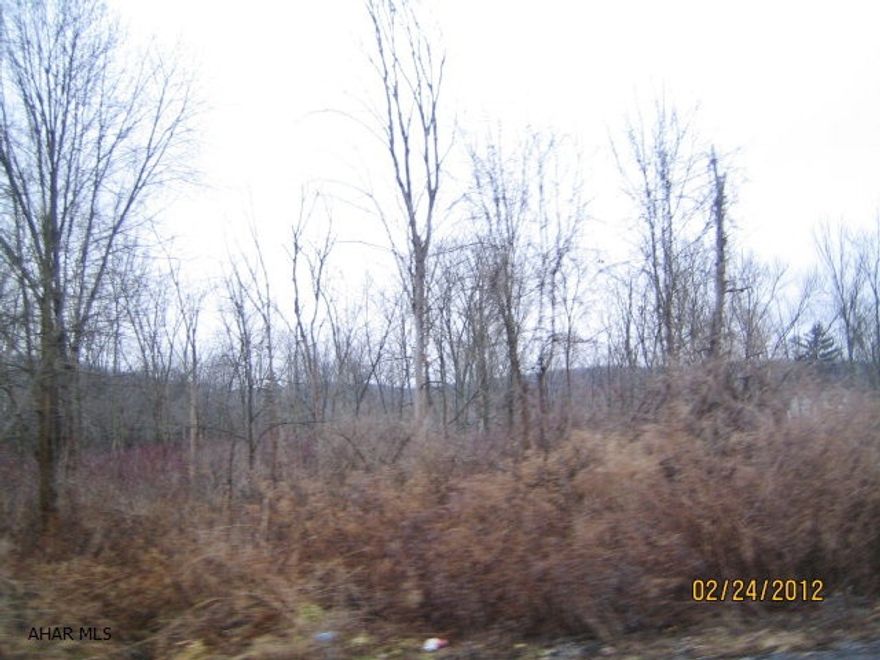 Property being sold AS-IS. Condition of property and availability of utilities is unknown.