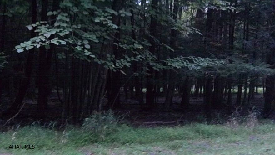 The perfect lot to build your dream home or cabin.  Flat, wooded and a frequent host of wildlife this lot is ready for you to enjoy nature.  Located in Glendale Yearound you can enjoy the amenities and activities when you want or retreat to your own corner of privacy when you feel the need.  Community  swimming pool, tennis/basketball/volleyball courts, clubhouse, horseshoes, playground, dog park, athletic field, planned activities, security force and more are all available for your enjoyment and peace of mind.  Seeing is believing.