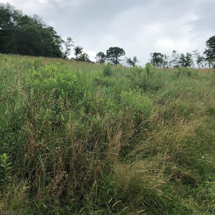 This rolling land located off a lazy country road would be great for anyone who likes to hunt.  This property has been recently timbered and has a mix of fields and wooded areas.  There is a right-of-way access and public sewage along Oldham Road.  Buyer would need to make sure they could access the public sewage.