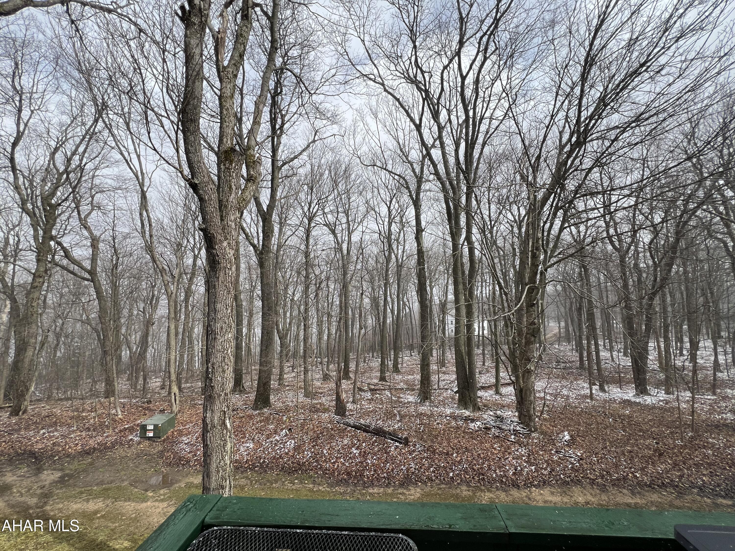 Blue Knob - Residential