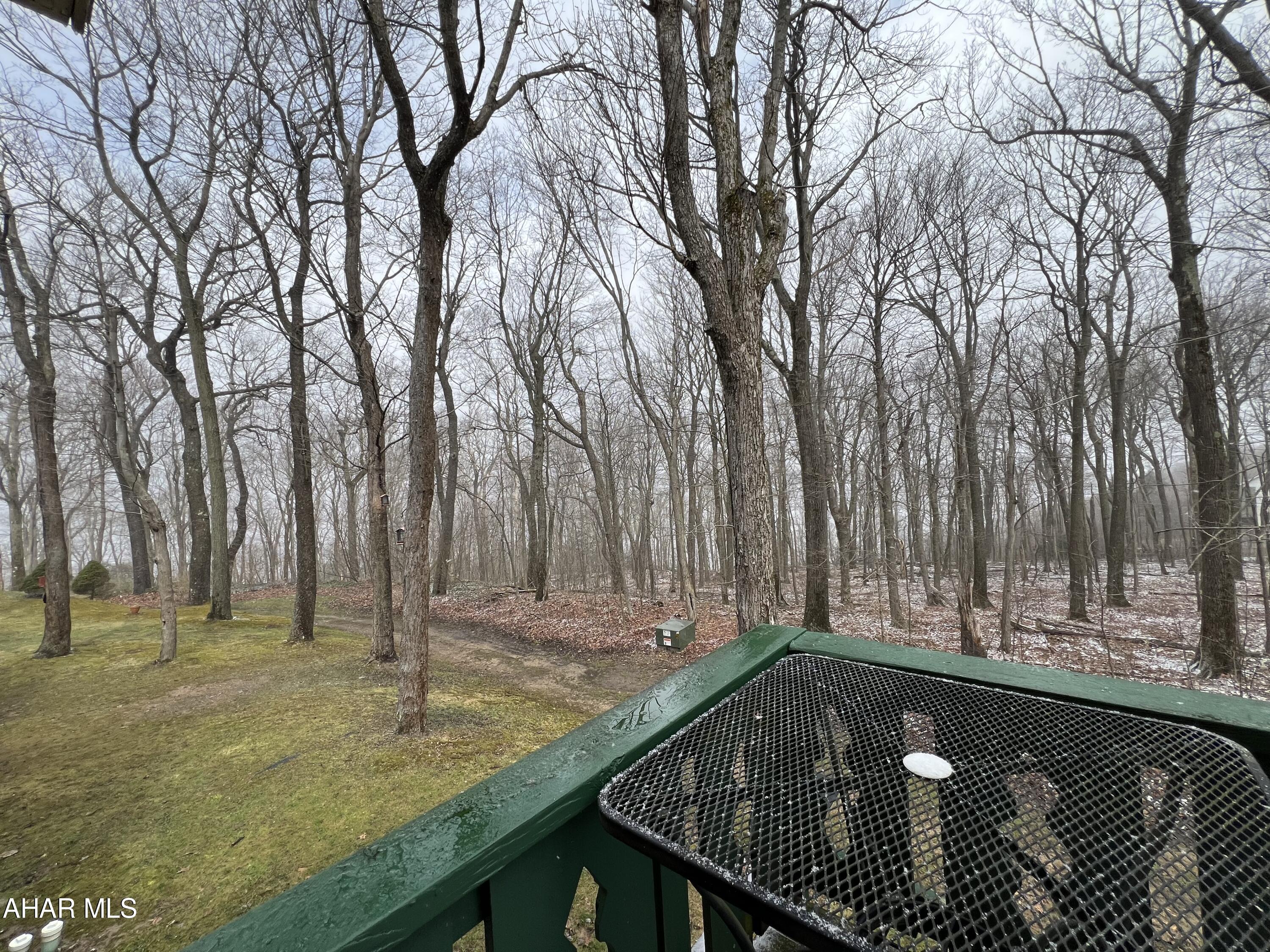 Blue Knob - Residential