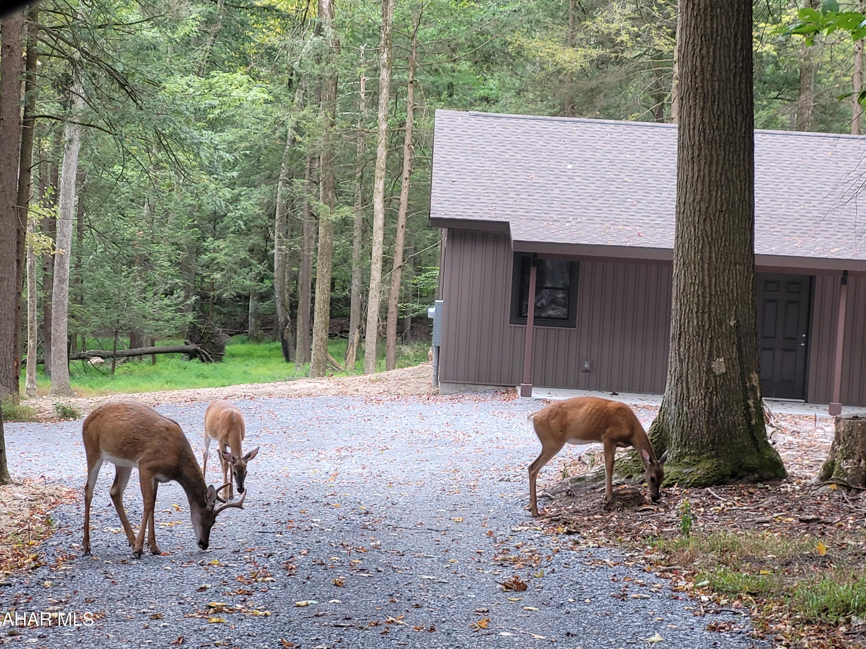 Glendale Yearound - Residential