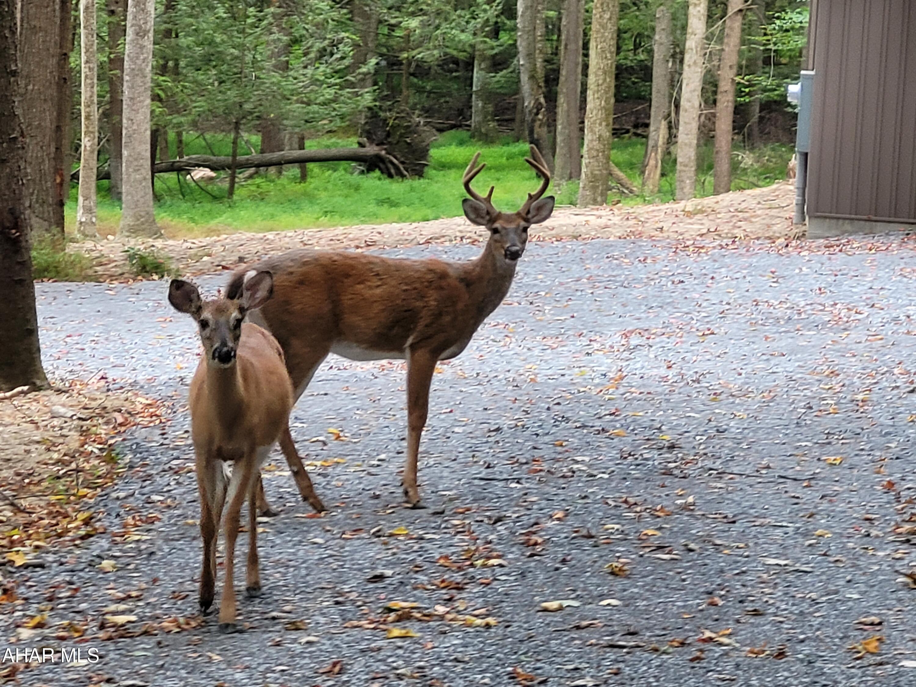 Glendale Yearound - Residential