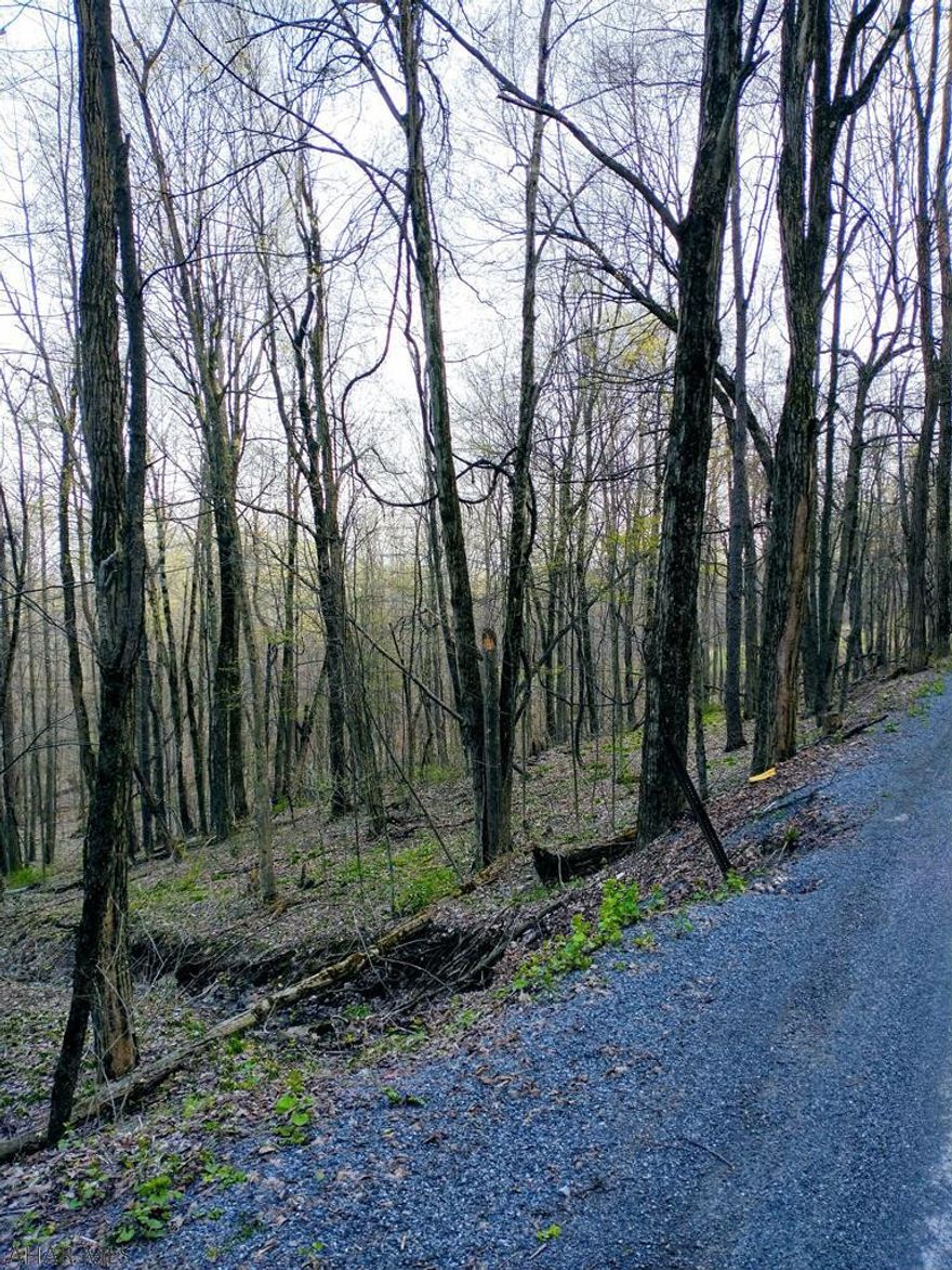 Have you been dreaming of a place in the mountains to build your dream house? Or maybe a weekend cabin. Well this might just be the place for you.  Wooded acreage with small stream running through the property.  Check this property out!