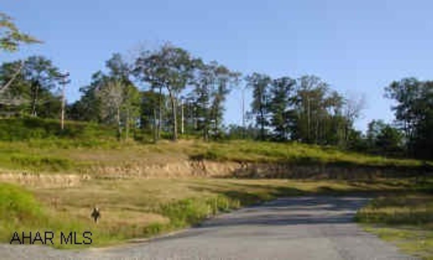 4th Street to Granada Way to Shannon Rd.Property at the end on Left. 4th Street to Granada Way to Shannon Rd.Property at the end on Left. Great lot on dead end street, Trees, Public Utlities, Well on Property