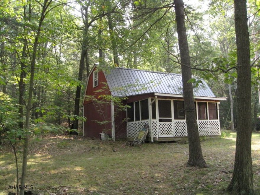Cabin located on 11 wooded acres. Great hunting area, easily accessible. Cabin has electricity, heat, water, sewer, A/C, new roof and includes all furniture and appliances. Electric wall heater and coal/wood burner. At the top of the property lies a field with outstanding views.