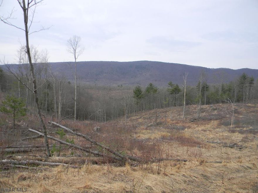 This property offers 26 acres and 37 perches of mostly cleared area.Perfect for the outdoor recreation. A NEW HOME, OR CABIN PROPERTY WITH A VIEW .Public road frontage  and steps away from State Game Lands. Hunters paradise, turkey, deer and bear. Lots of small game also